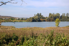 Lanstroper See_2.jpg